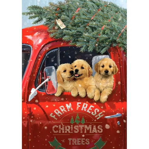 HOLIDAY FARM FRESH CARDS